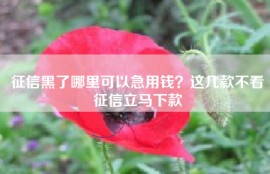 征信黑了哪里可以急用钱？这几款不看征信立马下款