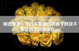 精选整理！千万不能错过的哪个网贷不看征信下款快贷款app