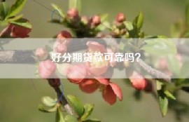 好分期贷款可靠吗？
