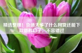 精选整理！负债太多了什么网贷还能下款借款口子，不容错过