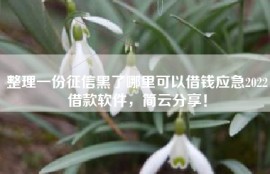 整理一份征信黑了哪里可以借钱应急2022借款软件，简云分享！