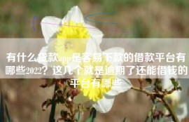 有什么贷款app是容易下款的借款平台有哪些2022？这几个就是逾期了还能借钱的平台有哪些