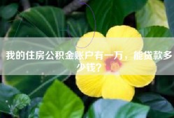 我的住房公积金账户有一万，能贷款多少钱？