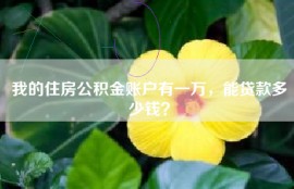 我的住房公积金账户有一万，能贷款多少钱？