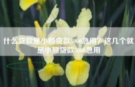 什么贷款是小额贷款5000急用？这几个就是小额贷款5000急用