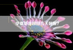华夏基金赎回几天到帐？