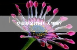华夏基金赎回几天到帐？