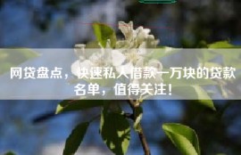 网贷盘点，快速私人借款一万块的贷款名单，值得关注！