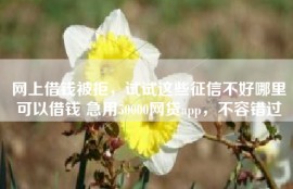 网上借钱被拒，试试这些征信不好哪里可以借钱 急用50000网贷app，不容错过