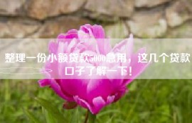 整理一份小额贷款5000急用，这几个贷款口子了解一下！