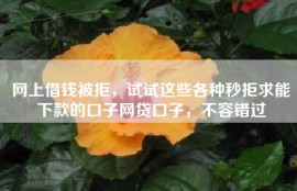网上借钱被拒，试试这些各种秒拒求能下款的口子网贷口子，不容错过