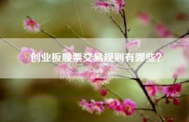 创业板股票交易规则有哪些？