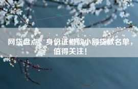 网贷盘点，身份证借款小额贷款名单，值得关注！