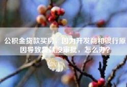 公积金贷款买房，因为开发商和银行原因导致贷款没审批，怎么办？
