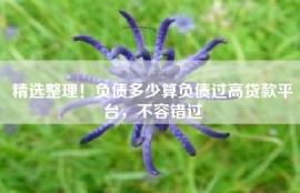 精选整理！负债多少算负债过高贷款平台，不容错过