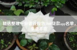 精选整理一份借钱应急5000贷款app名单，拿走不谢