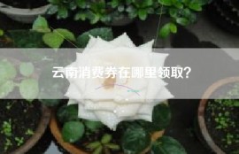 云南消费券在哪里领取？