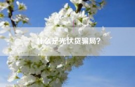 什么是光伏贷骗局？