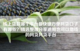 线上贷款哪个平台最快捷方便网贷口子有哪些？精选整理分享逾期也可以借钱的网贷网贷平台