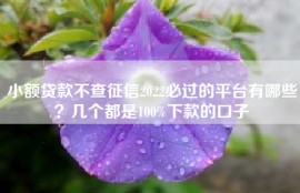 小额贷款不查征信2022必过的平台有哪些？几个都是100%下款的口子