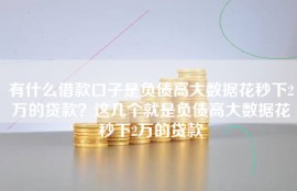 有什么借款口子是负债高大数据花秒下2万的贷款？这几个就是负债高大数据花秒下2万的贷款