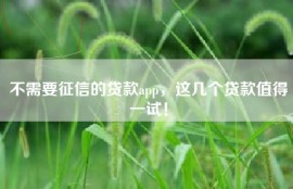 不需要征信的贷款app，这几个贷款值得一试！