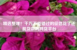 精选整理！千万不能错过的征信花了还能贷款吗网贷平台