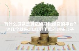 有什么贷款是真正逾期也能贷的平台？这几个就是2022年好下款的网贷口子