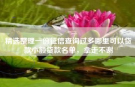 精选整理一份征信查询过多哪里可以贷款小额贷款名单，拿走不谢