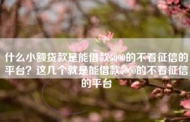 什么小额贷款是能借款5000的不看征信的平台？这几个就是能借款5000的不看征信的平台