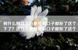 有什么网贷平台是所有口子都拒了这个下了？这几个就是所有口子都拒了这个下了