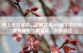 网上借钱被拒，试试这些2022能下款的网贷有哪些小额贷款，不容错过
