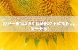 整理一份借5000不看征信秒下款贷款app，简云分享！