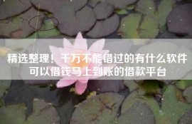 精选整理！千万不能错过的有什么软件可以借钱马上到账的借款平台