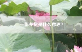 一借多贷是什么意思？