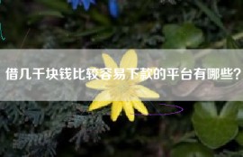 借几千块钱比较容易下款的平台有哪些？