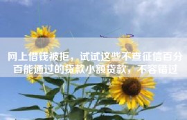 网上借钱被拒，试试这些不查征信百分百能通过的贷款小额贷款，不容错过