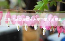 信用卡还款后显示入账中是什么意思