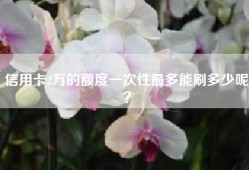 信用卡2万的额度一次性最多能刷多少呢？