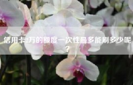 信用卡2万的额度一次性最多能刷多少呢？