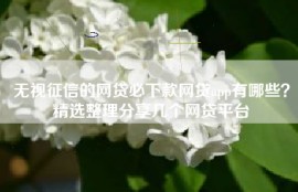 无视征信的网贷必下款网贷app有哪些？精选整理分享几个网贷平台
