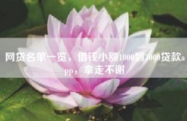 网贷名单一览，借钱小额1000到3000贷款app，拿走不谢