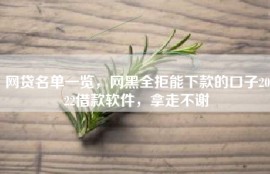 网贷名单一览，网黑全拒能下款的口子2022借款软件，拿走不谢