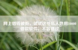 网上借钱被拒，试试这些私人急用10000借款软件，不容错过