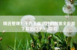 精选整理！千万不能错过的网黑全拒能下款的口子2022贷款