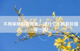 不用审核的备用金，这几个小额贷款值得一试！