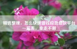 精选整理，怎么快速借钱应急借款平台一览表，拿走不谢