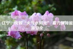 辽宁：统筹“火气水风光” 蓄力保障能源安全