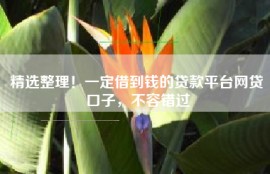 精选整理！一定借到钱的贷款平台网贷口子，不容错过