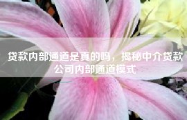 贷款内部通道是真的吗，揭秘中介贷款公司内部通道模式